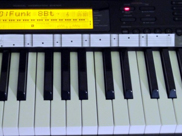 CDP-200R with staff markers